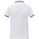 Damska koszulka polo Amarago z kontrastowymi paskami i krótkim rękawem biały (38109012)