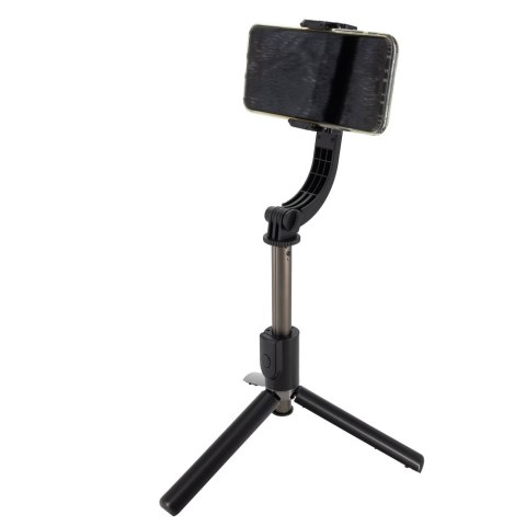 Gimbal kolor szary